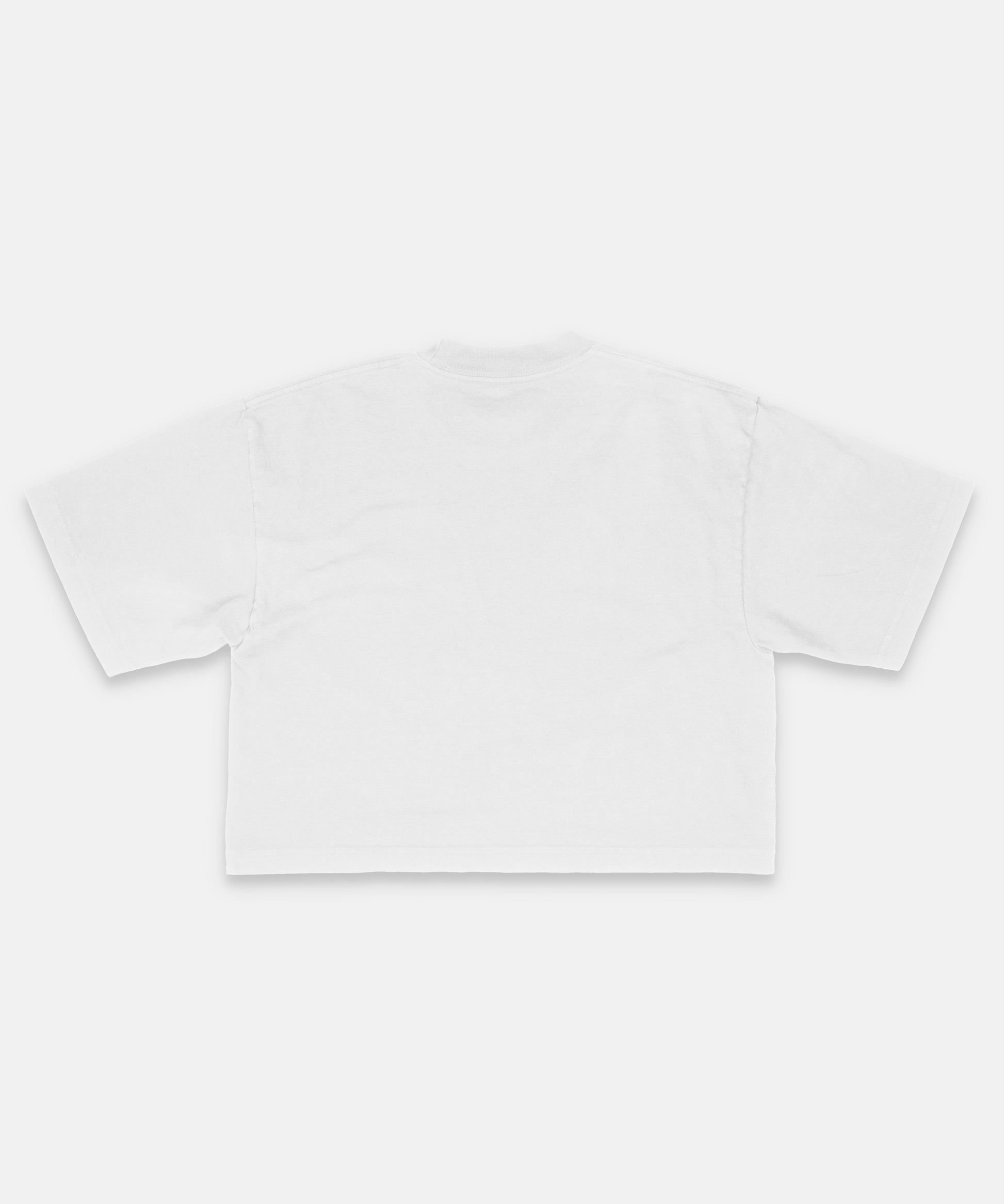 ALXX SIGNATURE CROP TEE WHITE